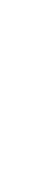 Vector